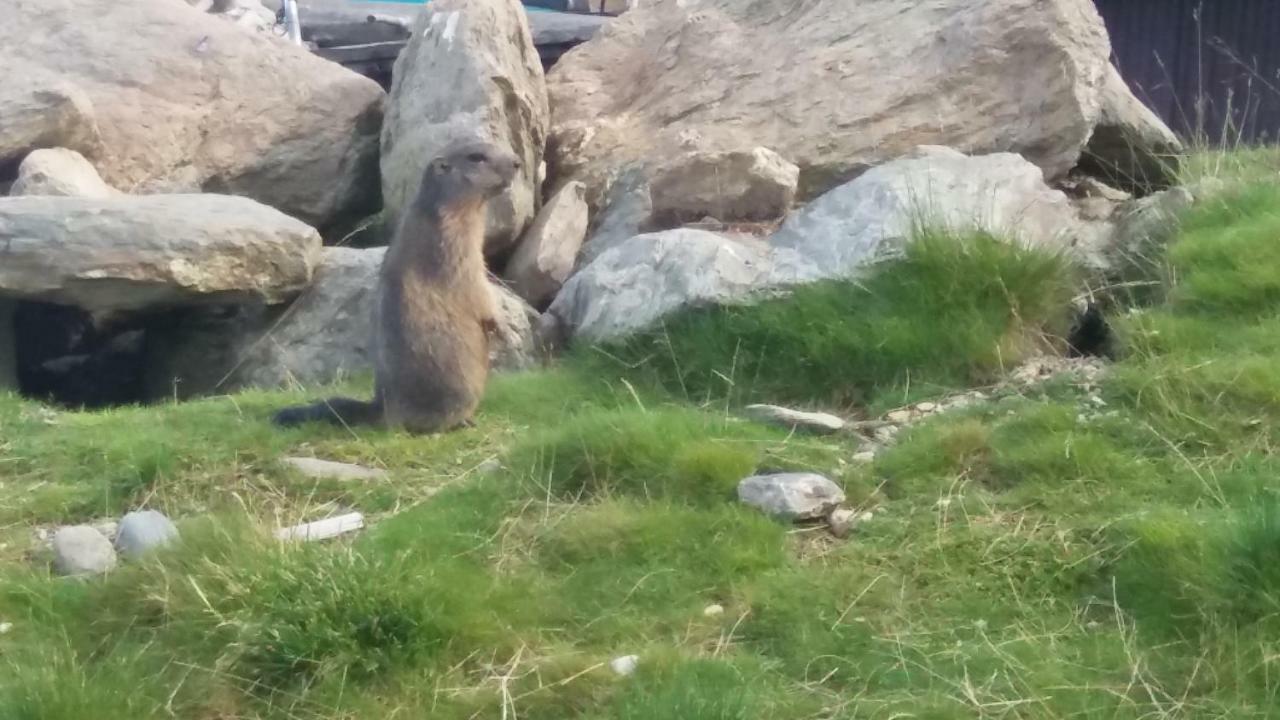 Ferienwohnungen Hochzillertal Kaltenbach Zewnętrze zdjęcie